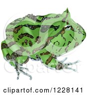 Poster, Art Print Of Green Surinam Horned Frog