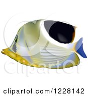 Poster, Art Print Of Saddleback Butterflyfish