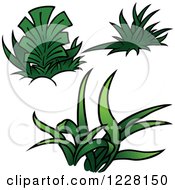 Poster, Art Print Of Green Grass And Plants