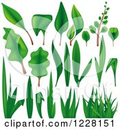 Poster, Art Print Of Green Grass Leaves And Plants