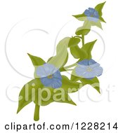 Clipart Of A Flowering Vine Royalty Free Vector Illustration