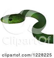 Poster, Art Print Of Eastern Green Mamba Snake