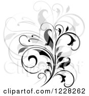 Clipart Of A Black Flourish With A Shadow 2 Royalty Free Vector Illustration