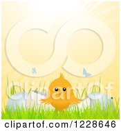 Poster, Art Print Of Butterflies And Sunshine Over A Cute Easter Chick And Cracked Eggs