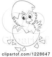 Poster, Art Print Of Outlined Cute Chick Hatching From An Egg