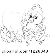 Poster, Art Print Of Cute Black And White Chick Hatching From An Easter Egg