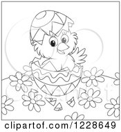 Poster, Art Print Of Outlined Hatching Chick In An Easter Egg