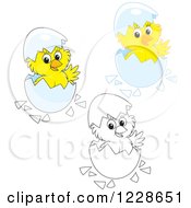 Poster, Art Print Of Outlined And Colored Cute Chicks Hatching From Eggs