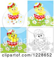 Poster, Art Print Of Outlined And Colored Hatching Chicks In Easter Eggs