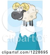Poster, Art Print Of Black And Tan Ram Sheep On A Mountain Top