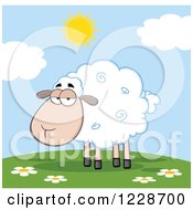 Poster, Art Print Of Annoyed Sheep On A Sunny Hill