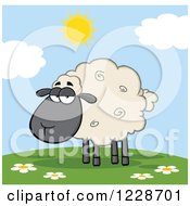 Poster, Art Print Of Annoyed Black And Tan Sheep On A Sunny Hill
