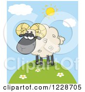 Poster, Art Print Of Black And Tan Ram Sheep On A Hill