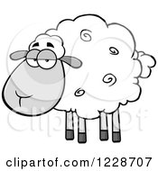 Poster, Art Print Of Annoyed Grayscale Sheep