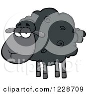 Poster, Art Print Of Annoyed Black Sheep