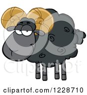 Poster, Art Print Of Black Ram Sheep
