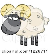 Poster, Art Print Of Black And Tan Ram Sheep