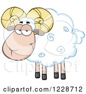 Poster, Art Print Of White Ram Sheep