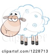 Poster, Art Print Of Annoyed Sheep