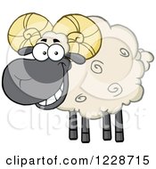 Poster, Art Print Of Happy Black And Tan Ram Sheep