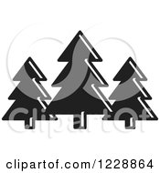 Poster, Art Print Of Black And White Evergreen Trees Icon