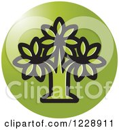 Clipart Of A Round Green Tree Icon Royalty Free Vector Illustration