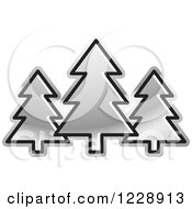 Poster, Art Print Of Silver Evergreen Trees Icon