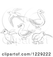 Outlined Cute Birds