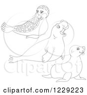 Poster, Art Print Of Outlined Cute Seals And Sea Lions