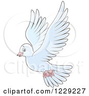 Poster, Art Print Of Flying White Dove