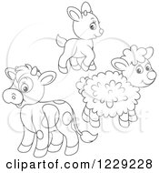 Poster, Art Print Of Outlined Cute Baby Goat Lamb And Cow