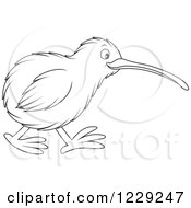 Outlined Cute Kiwi Bird