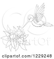 Poster, Art Print Of Outlined Cute Hummingbird Taking Nectar From Flowers