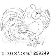 Poster, Art Print Of Outlined Cute Rooster