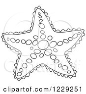 Poster, Art Print Of Outlined Starfish