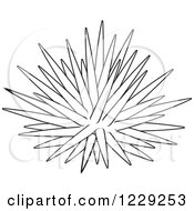Poster, Art Print Of Outlined Sea Urchin