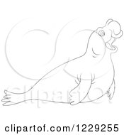 Clipart Of An Outlined Cute Elephant Seal Royalty Free Vector Illustration by Alex Bannykh