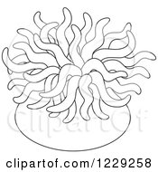 Poster, Art Print Of Outlined Sea Anemone