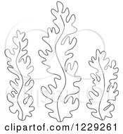 Poster, Art Print Of Outlined Seaweed