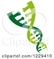 Poster, Art Print Of Dna Double Helix Cloning Strand 11