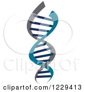 Clipart Of A Dna Double Helix Cloning Strand 8 Royalty Free Vector Illustration