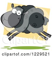 Poster, Art Print Of Black Sheep Jumping