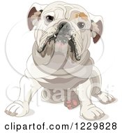 Poster, Art Print Of Cute Bulldog Sitting