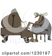 Pianist Moose Playing Music