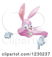 Poster, Art Print Of Pink Bunny Pointing Down At A Sign