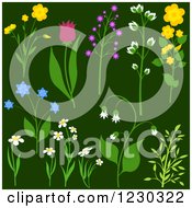 Clipart Of Flowering Plants On Green Royalty Free Vector Illustration