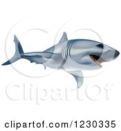 Poster, Art Print Of Great White Shark