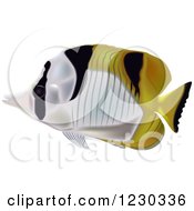 Poster, Art Print Of Black-Wedged Butterflyfish