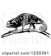Poster, Art Print Of Black And White Chameleon Lizard 3