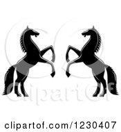 Poster, Art Print Of Two Black And White Rearing Horses 2